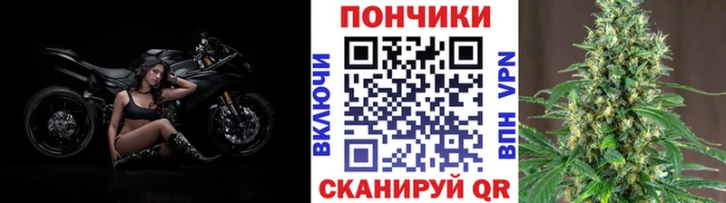 Канабис индика  Покачи 
